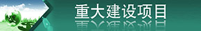 重大項目